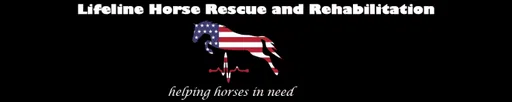 Lifeline Horse Rescue and Rehabilitation Inc logo