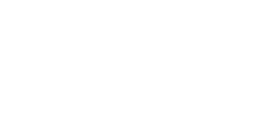 4africa logo