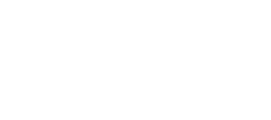 4africa logo