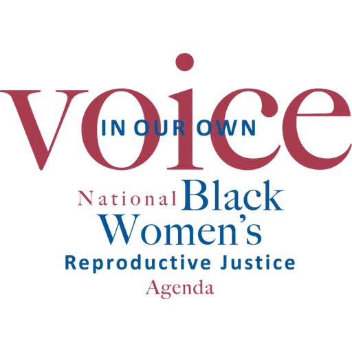 In Our Own Voice National Black Womens Reproductive Justice Agenda logo