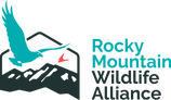 Rocky Mountain Wildlife Alliance logo