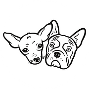 Sky Sanctuary Rescue logo