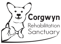 CORGWYN Rehabilitation Sanctuary logo