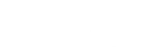 Space for Humanity logo