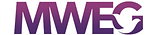 Mormon Women for Ethical Government Foundation logo