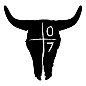 1017 Project logo