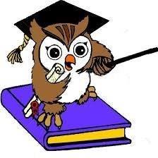 Monelli Educational Services Inc logo
