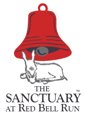 Red Bell Run Foundation Inc logo
