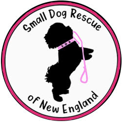 Small Dog Rescue of New England logo