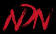 NDN Collective Inc logo