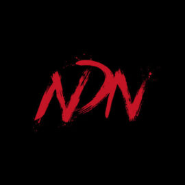 NDN Collective Inc logo