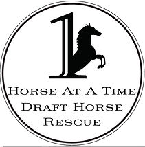 1 Horse at a Time Draft Horse Rescue Inc logo