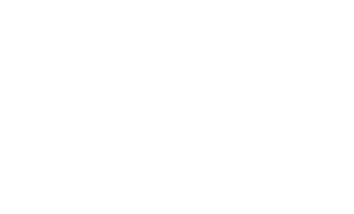 Sanctuary Foundation Inc logo