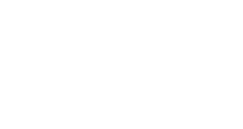 Delaware College Scholars Inc logo