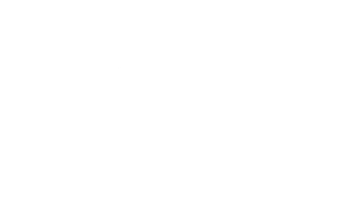 Delaware College Scholars Inc logo