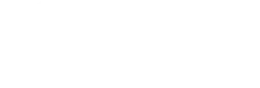 Community Services Network logo