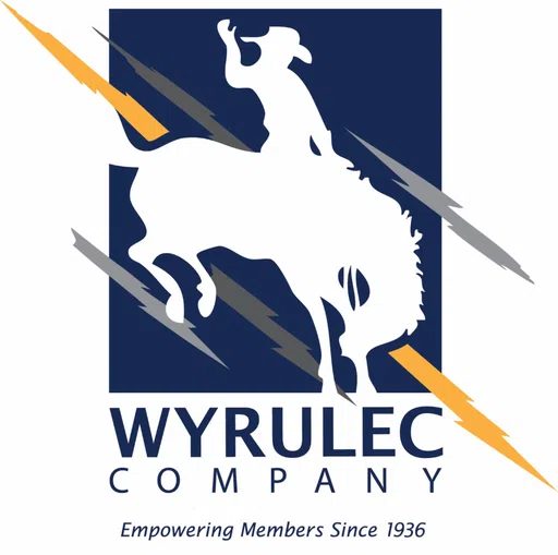 Wyrulec Company logo
