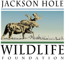 Jackson Hole Wildlife Foundation logo