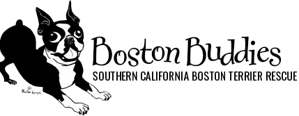 Boston Buddies Inc logo