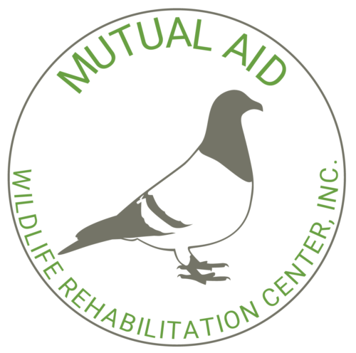 Mutual Aid Wildlife Rehabilitation Center Inc logo