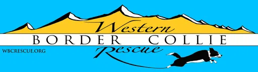 Western Border Collie Rescue logo