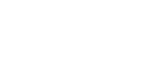Turtle Island Corporation logo