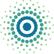 United States Energy Foundation logo