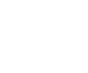 Beyond the Notes Music Festival logo