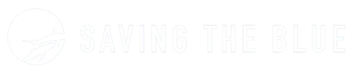 Saving the Blue Inc logo