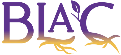 Black Appalachian Coalition logo