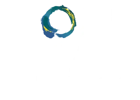 More Than Fitness Inc logo
