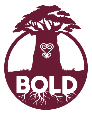 Bold Training Institute Inc logo
