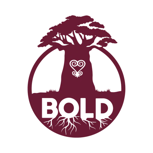Bold Training Institute Inc logo