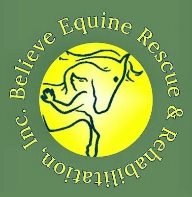 Believe Equine Rescue & Rehabilitation Center Incorporated logo