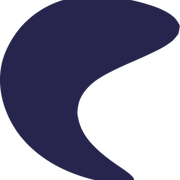 Skin Cancer Outcomes Consortium logo