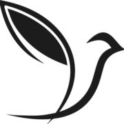 CWC Alliance Inc logo