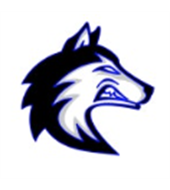 American Youth Football Inc logo
