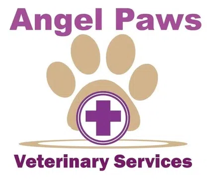 Angel Paws logo