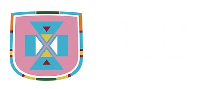 Nixyaawii Community Financial Services logo