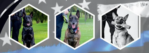Support Our Law Enforcement Inc logo