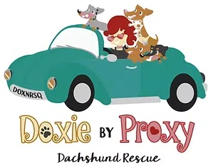 Doxie by Proxy Rescue Inc logo