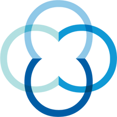 Carti Auxiliary Inc logo