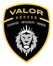 Valor Soccer logo