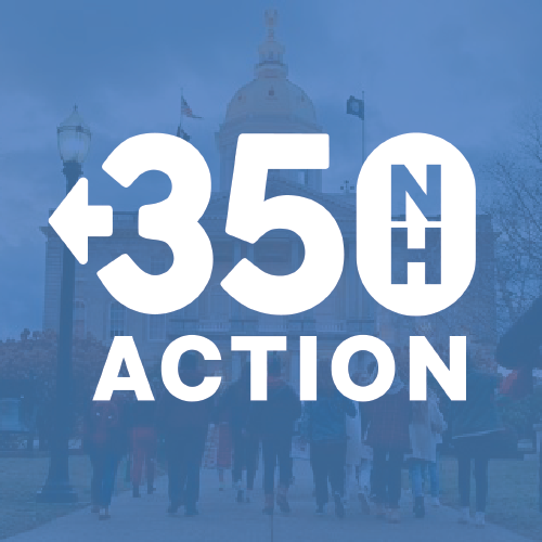 350 NH Action logo
