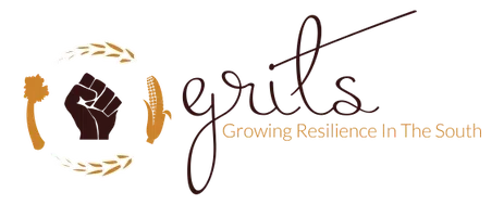Growing Resilience in the South Inc logo