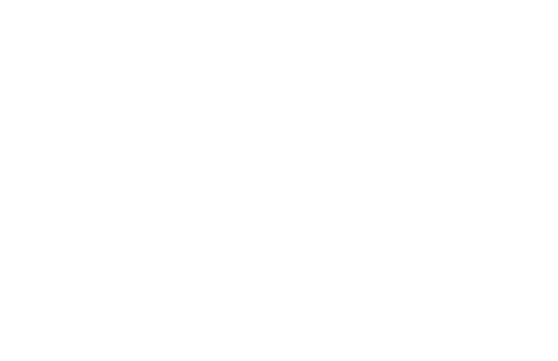 Visitor & International Student Association Inc logo