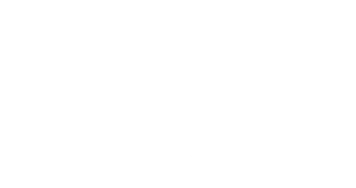 Mount Sneffels Education Foundation logo