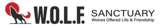 W O L F logo