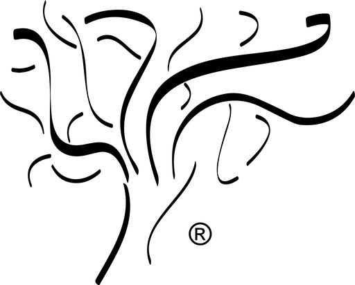 Simchat Torah Beit Midrash logo