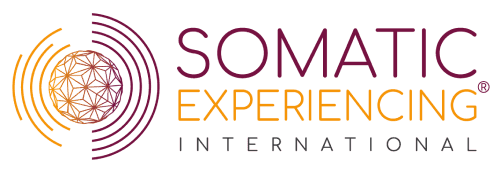 Foundation for Human Enrichment DBA Somatic Experiencing International logo